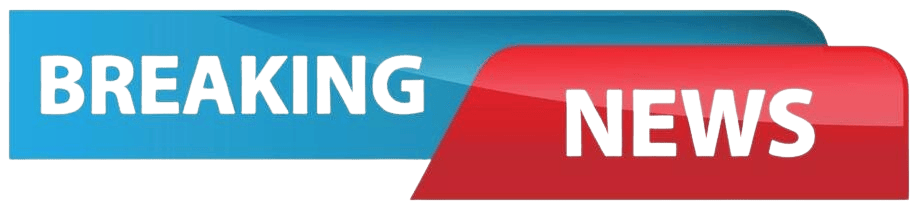 Banner: Kostenlose Trainings zu Trading, Investieren und Investigativjournalismus